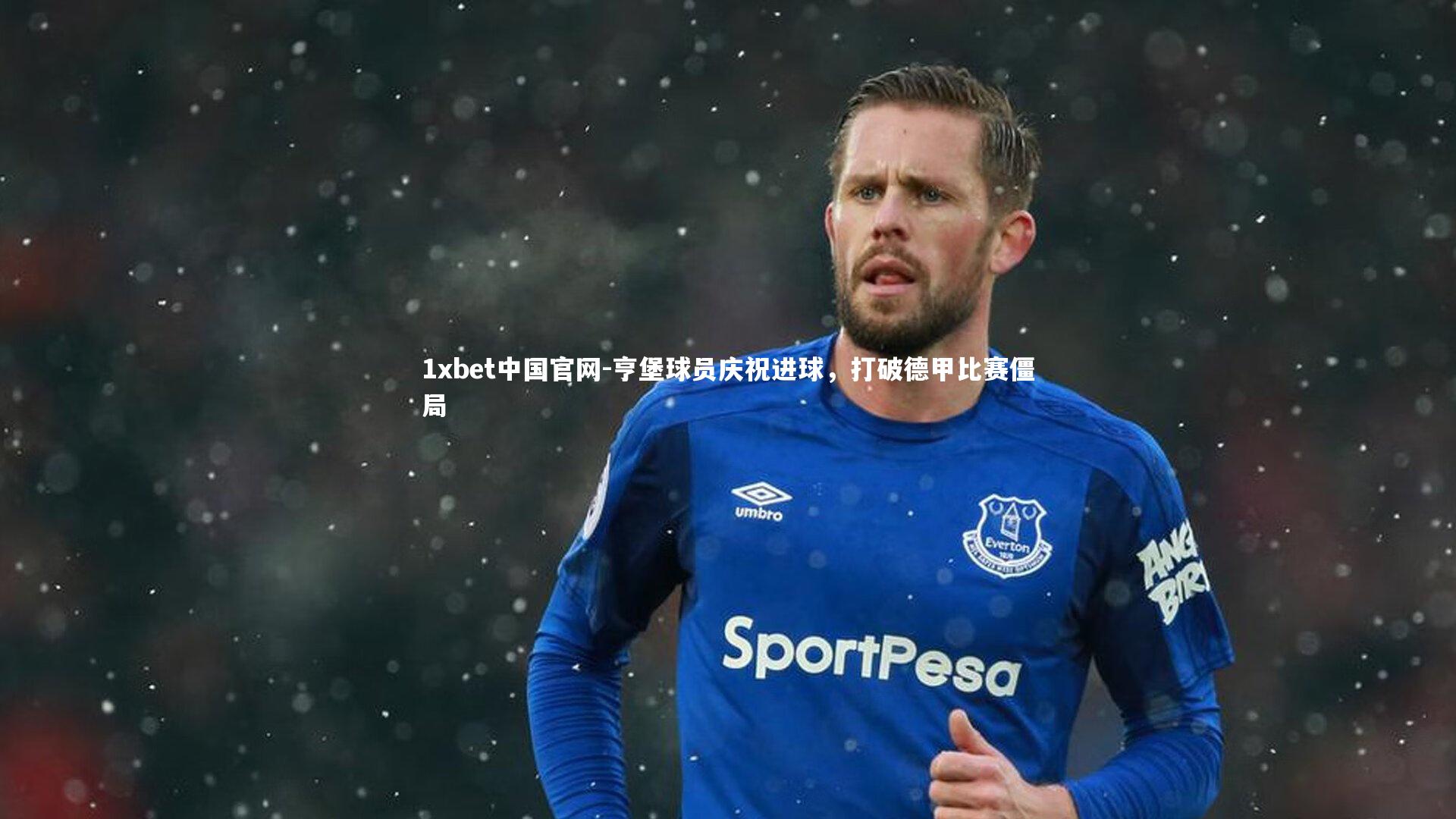 亨堡球员庆祝进球，打破德甲比赛僵局