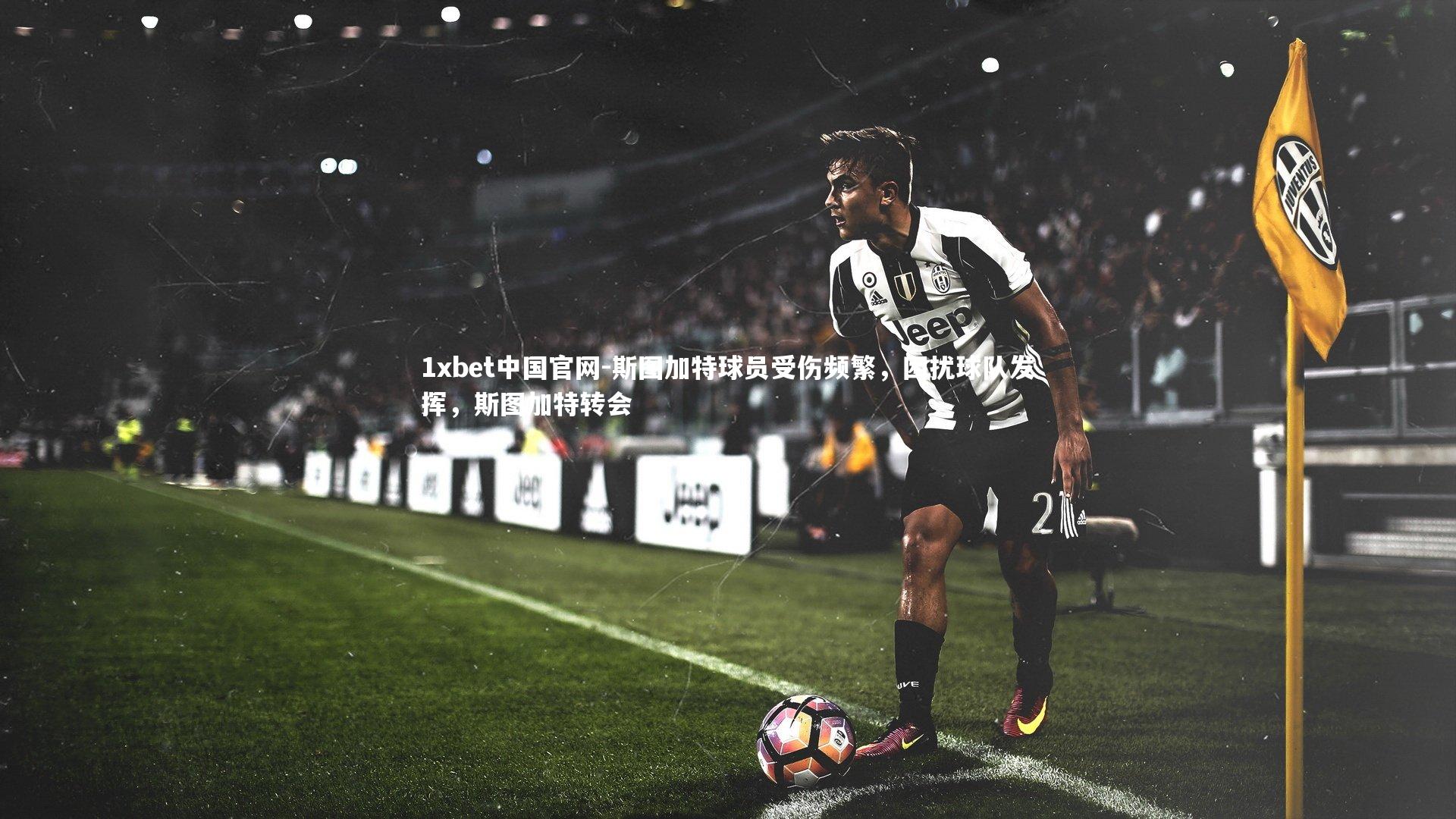 斯图加特球员受伤频繁，困扰球队发挥，斯图加特转会